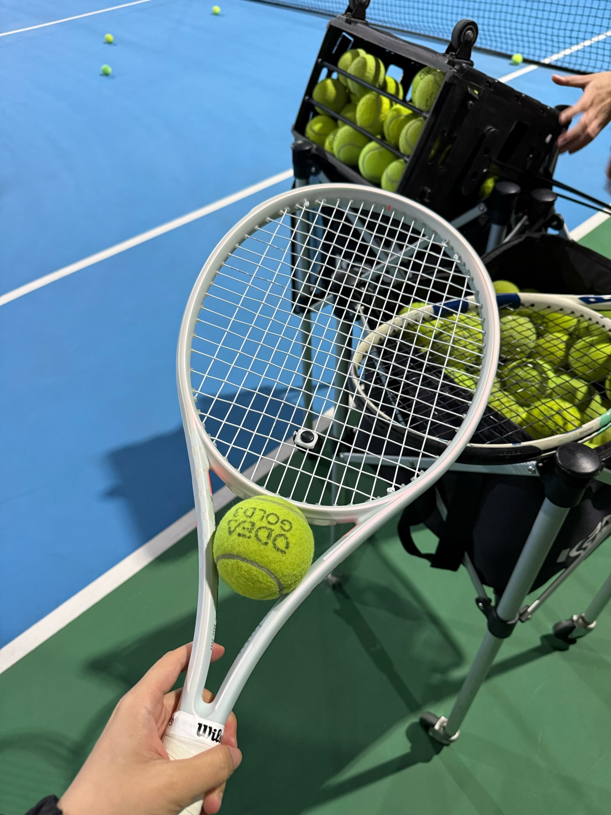 里特与亚当 里特与亚当