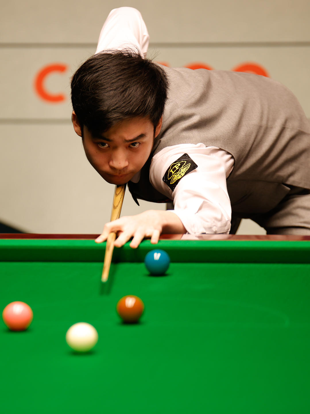 格虽大不相 格虽大不相